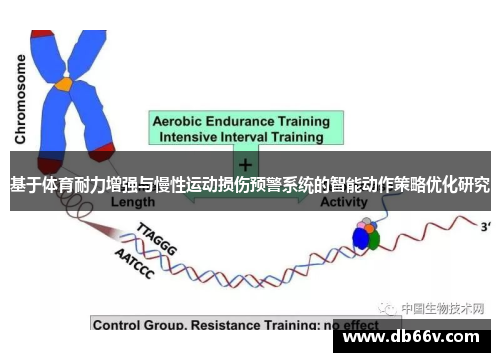 基于体育耐力增强与慢性运动损伤预警系统的智能动作策略优化研究